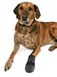 Trixie WALKER CARE - обувь для собак - L