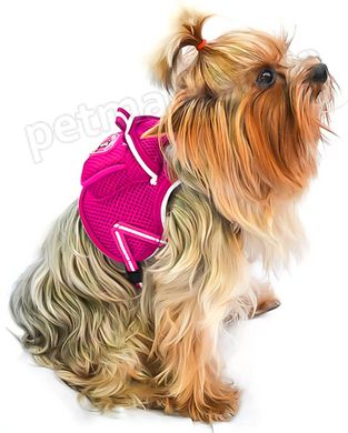 Lovabledog Pet Backpack шлея-рюкзак з повідцем для маленьких собак (сітка) - S, Синій Petmarket