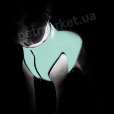 Collar AIRY VEST LUMI - жилет, що світиться двосторонній - салатовий/помаранчевий, L65 % Petmarket