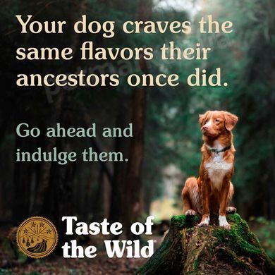 Taste of the Wild High Prairie холістик корм для собак (буйвол/ягня/курка) - 18 кг %. Petmarket