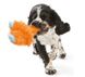 West Paw LINCOLN - Лінкольн - м'яка іграшка для собак - 23 см, помаранчевий