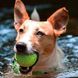 Rogz ASTEROIDZ BALL S - Астероідз - іграшка для дрібних порід собак - синій