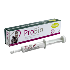 Mervue Probio -паста при  расстройствах пищеварительного тракта Petmarket