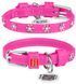 Collar WauDog GLAMOUR Стрази - шкіряний нашийник для собак - 21-29 см, Фіолетовий Petmarket