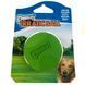 Chuckit! Erratic Ball Dog Toy - іграшка стрибучий м'ячик для собак асиметричної форми