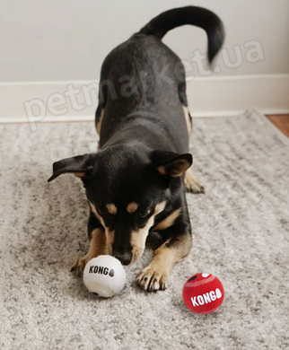 Kong Signature Sport Balls - игрушка для собак мелких и средних пород Petmarket