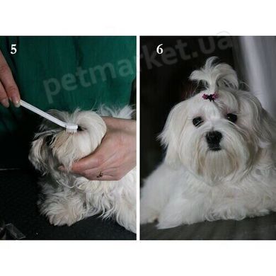 Eye Envy NR Solution - ПРИВАБЛИВІ ОЧЕНЯТА - лосьйон від плям від сліз для собак Petmarket