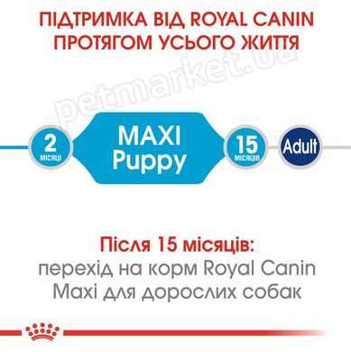 Royal Canin MAXI PUPPY - корм для цуценят великих порід - 15 кг % Petmarket