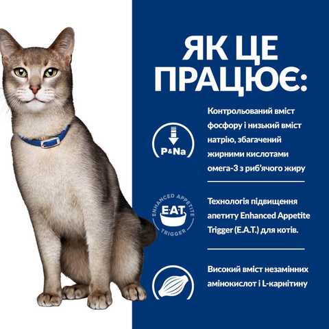 Hill s PD Feline K D Kidney Care