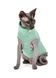 Pet Fashion БРЮС свитер - одежда для кошек, минт, L