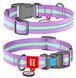 Collar WAUDOG Nylon Glow - світлонакопичувальний нейлоновий нашийник для собак - 35-58 см, фіолетовий Petmarket