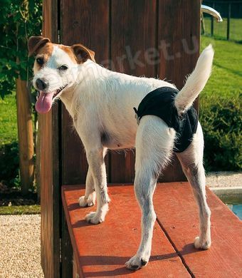 Ferplast CULOTTE - труси гігієнічні для собак - maxi Petmarket