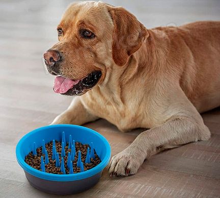 Dexas SLOW FEEDER DOG BOWL - силиконовая миска для медленного кормления собак - Темно-серый/голубой Petmarket