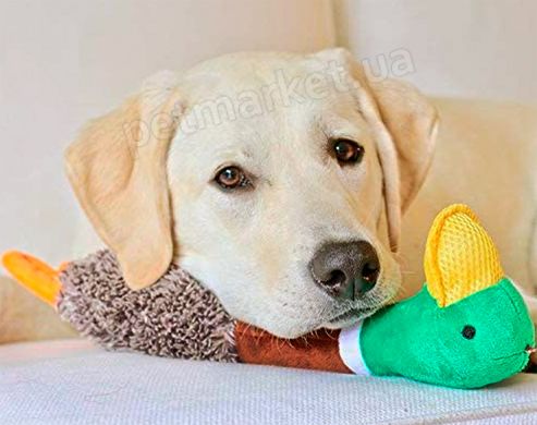 Petstages Headbangerz Duck - м'яка іграшка з підсвічуванням для собак Petmarket