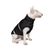 Pet Fashion Big Boss теплий жилет для середніх та великих собак - Чорний, 5XL Petmarket
