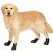 Flamingo XTREME BOOTS - черевики для собак - XL %