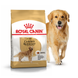 Royal Canin GOLDEN RETRIEVER - Роял Канин сухой корм для собак породы голден ретривер - 3 кг