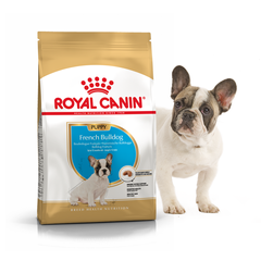 Royal Canin FRENCH BULDOG Puppy - Роял Канин сухой корм для щенков французского бульдога - 10 кг % Petmarket