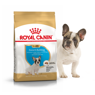 Royal Canin FRENCH BULDOG Puppy - корм для цуценят французького бульдога - 1 кг % Petmarket