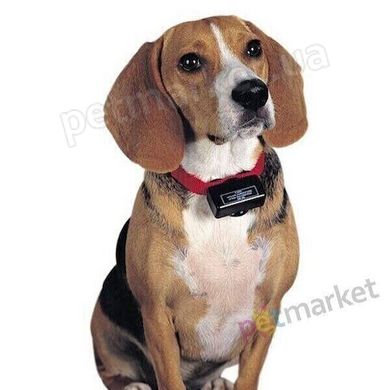PetSafe BARK CONTROL - електронний нашийник-антилай для собак Petmarket