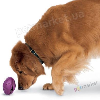 Premier ЮЛА - інтерактивна іграшка для собак (IT) - 13 см Petmarket
