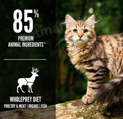 Orijen Tundra Cat сухий корм для котів та кошенят - 5,4 кг % Petmarket