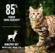 Orijen Tundra Cat сухий корм для котів та кошенят - 340 г %