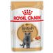 Royal Canin BRITISH SHORTHAIR Adult - влажный корм для британских кошек - 85 г %