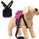 Lovabledog PET BACKPACK - Рюкзак - шлея с поводком для маленьких собак (горошек) - S, Розовый