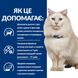 Hill's PD C/D Multicare Stress Feline - лікувальний корм для котів при захворюваннях сечовивідних шляхів - 400 г