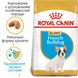 Royal Canin FRENCH BULDOG Puppy - корм для щенков французского бульдога - 1 кг %
