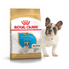 Royal Canin FRENCH BULDOG Puppy - корм для щенков французского бульдога - 1 кг %