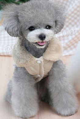 Dobaz Witty теплая стеганая куртка с мехом для собак - S, Бежевый % Petmarket