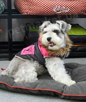 Dobaz DOGWEAR тепла куртка для собак - зелений, XL % Petmarket