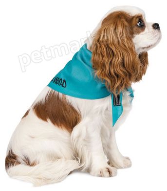 Pet Fashion WEEKEND - бандана для собак - M-XL, Помаранчевий Petmarket