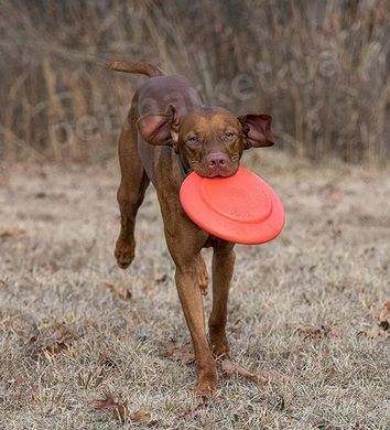 Dexas OFF LEASH Frisbee Flyer - Офф-лиш Летающая тарелка с карабином - игрушка для собак Petmarket