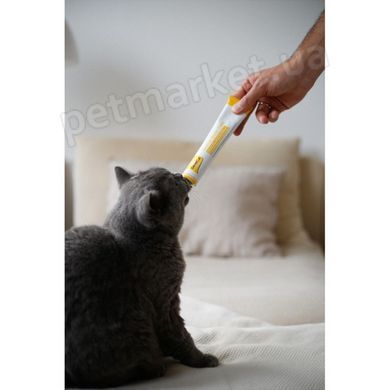 GimCat Cheese-Biotin паста для кожи и шерсти кошек - 100 г Petmarket