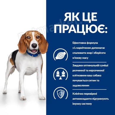 Hill's PD Canine R/D Weight Reduction - лечебный корм для собак с избыточным весом - 10 кг Petmarket