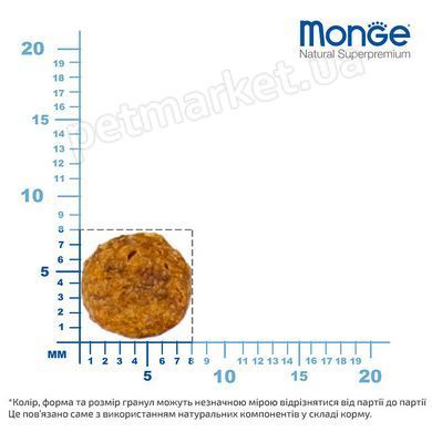Monge CAT URINARY Rich in Chicken - корм для профілактики сечокам'яної хвороби у кішок (курка) - 10 кг % Petmarket