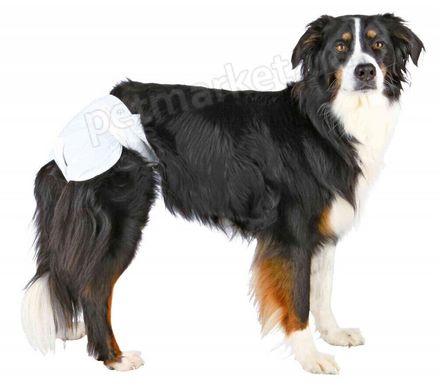 Trixie Diapers - памперсы для собак и щенков - XL Petmarket