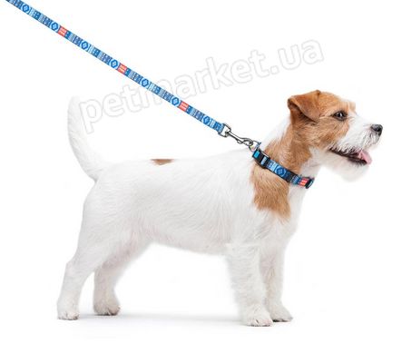 Collar WAUDOG Nylon Етно - нейлоновий поводок для собак - 122 см/20 мм, Червоний Petmarket
