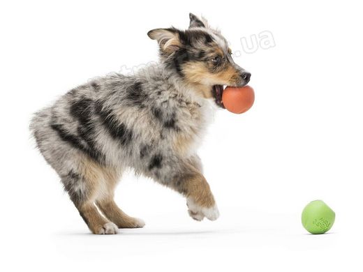West Paw RANDO Ball - Рандо Мяч - прочная игрушка для собак, 9 см, оранжевый Petmarket