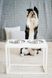 Harley and Cho DINNER White Wood + White - миски на дерев'яній підставці для середніх і великих собак, XL20