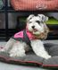 Dobaz DOGWEAR теплая куртка для собак - розовый, S %