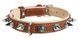 Collar WauDog SOFT - шкіряний нашийник з шипами для собак - 57-71 см, Коричневий Petmarket