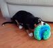 Kong FUNZLERS - Веселый мяч - игрушка для собак - зеленый-голубой М %