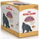 Royal Canin BRITISH SHORTHAIR Adult - вологий корм для британських кішок - 85 г х 12 шт %