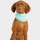 GF Pet Ice Band &mdash; охлаждающая бандана для собак (бирюзовая) - L/XL