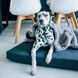Harley and Cho FUR Blanket - хутряний плед для собак і котів - Графіт, M