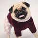 Pet Fashion SPELL - костюмчик для собак - XS %